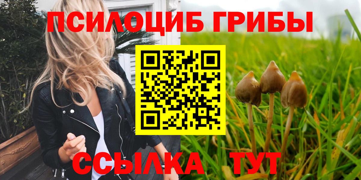 Галлюциногенные грибы Cubensis  Вход с VPN  Полысаево 